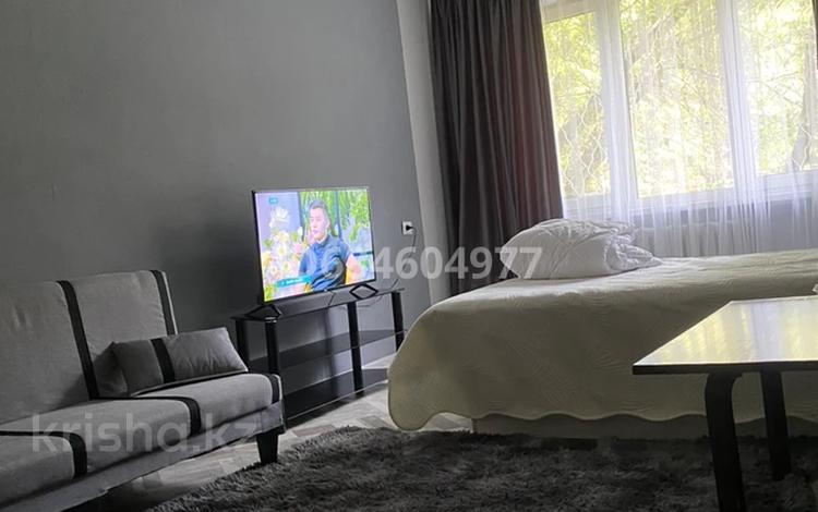 1-бөлмелі пәтер · 40 м² · 1/5 қабат, Керемет ш/а., Клочкова 168 — Ауезова , уг. ул Бухаржырау, бағасы: 18 000 ₸ в Алматы, Бостандыкский р-н — фото 23