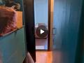 1-бөлмелі пәтер · 19 м² · 8/9 қабат, Сатпаева — по проспекту Сатпаева, бағасы: 5 млн ₸ в Усть-Каменогорске, Ульбинский — фото 5