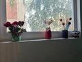 1-бөлмелі пәтер · 35 м² · 3/10 қабат, Жукова, бағасы: 130 000 ₸ в Петропавловске — фото 23