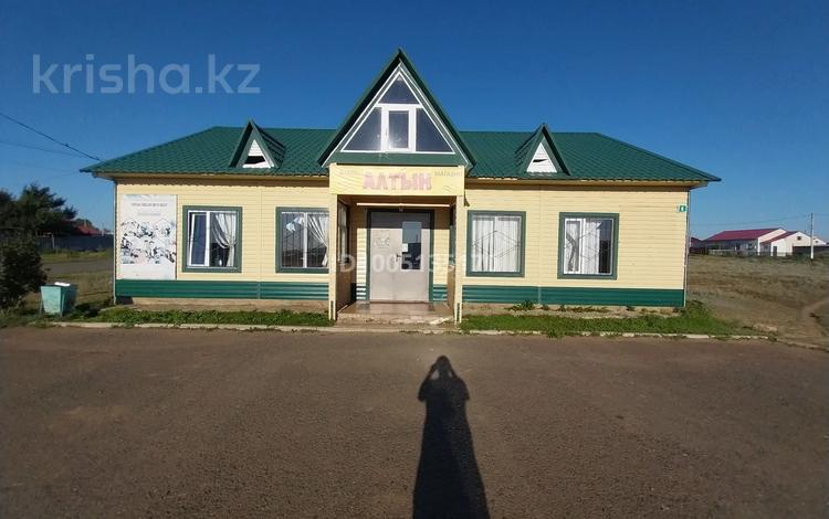 Дүкендер мен бутиктер, қоғамдық тамақтану орны · 200 м², бағасы: 25 млн 〒 в Переметном — фото 2