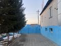 Отдельный дом · 4 комнаты · 200 м² · 16 сот., Проезд Д — Радиозавод за 100 млн 〒 в Павлодаре — фото 27