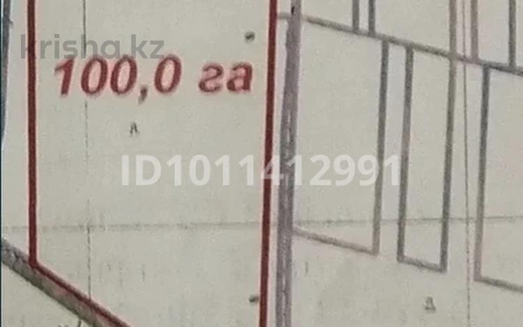 Участок · 100 га, Байзак за 145 млн ₸ в Жамбылской обл. — фото 3