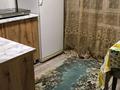 1-бөлмелі пәтер · 31 м² · 1/5 қабат, Добролюбова 33 — Бульвар Гагарина, бағасы: 130 000 ₸ в Усть-Каменогорске, Ульбинский — фото 22