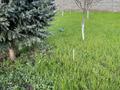 Жеке үй · 6 бөлме · 300 м² · 12 жүзд., Оразбекулы 42, бағасы: 550 000 ₸ в Таразе — фото 35