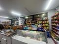 Магазины и бутики · 100 м² за 60 млн ₸ в Алматы, Наурызбайский р-н — фото 12