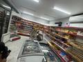 Магазины и бутики · 100 м² за 60 млн ₸ в Алматы, Наурызбайский р-н — фото 13
