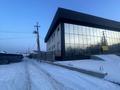 Еркін · 850 м², бағасы: 180 млн ₸ в Каскелене — фото 3