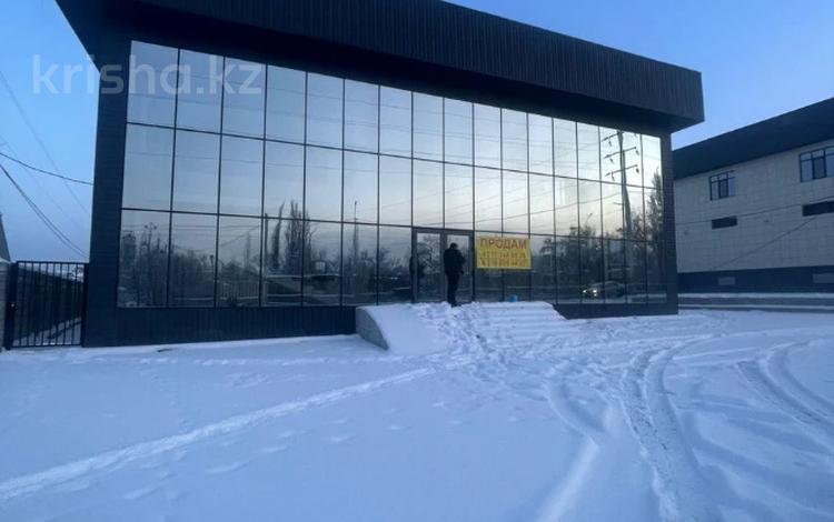Еркін · 850 м², бағасы: 180 млн ₸ в Каскелене — фото 10