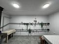 Отдельный дом · 5 комнат · 276.6 м² · 4.8 сот., Репина — Жаяу Мусы за 120 млн ₸ в Павлодаре — фото 65