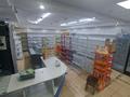 Магазины и бутики • 80 м² за 35 млн 〒 в Астане, Сарыарка р-н — фото 4