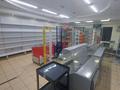 Магазины и бутики • 80 м² за 35 млн 〒 в Астане, Сарыарка р-н — фото 5