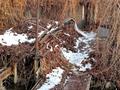 Часть дома · 2 комнаты · 30.88 м² · 3 сот., Вильямса 16/2 — Баянаульской за 26 млн ₸ в Алматы, Жетысуский р-н — фото 16