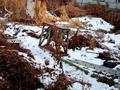 Часть дома · 2 комнаты · 30.88 м² · 3 сот., Вильямса 16/2 — Баянаульской за 26 млн ₸ в Алматы, Жетысуский р-н — фото 20