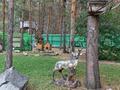 Жеке үй · 4 бөлме · 159.1 м² · 20.7 жүзд., 27-й км Сарыкольской трассы, бағасы: 80 млн ₸ в Затобольске (Тобыле) — фото 27