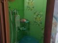 Отдельный дом · 2 комнаты · 74 м² · 54 сот., Достоевского 60 — Макшур жусупа достоевского за 80 000 ₸ в Павлодаре — фото 16