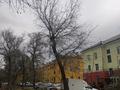 2-комнатная квартира · 49.3 м² · 4/4 этаж, Металлургов 30 — Угол пр. Независимости и ул. Металлургов за 15.5 млн ₸ в Усть-Каменогорске — фото 24