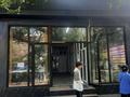Магазины и бутики, общепит, салоны красоты, фитнес и спорт, медцентры и аптеки, образование, развлечения, конференц-залы, кабинеты и рабочие места, студии · 100 м² за 2.5 млн ₸ в Алматы, Алмалинский р-н