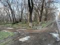 Участок · 11 соток, Участок 1106 — По ул.Абылайхана вдоль трассы между Alma Resort и село Шалкар за ~ 48.7 млн 〒 в Каскелене — фото 2