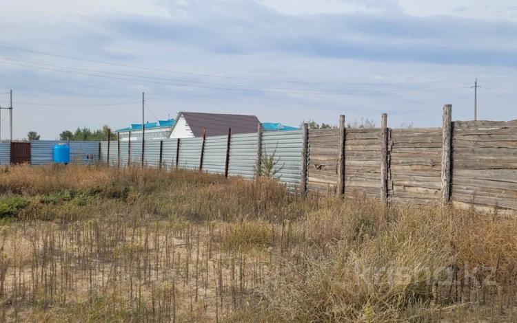 Участок · 24.9 соток, С. Альжанка ул Школьная за 13 млн ₸ в Алтынсарино (Костанайский район) — фото 2