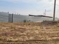 Участок · 24.9 соток, С. Альжанка ул Школьная за 13 млн ₸ в Алтынсарино (Костанайский район) — фото 7