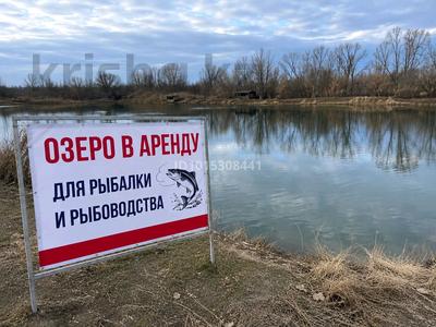 Возьму в аренду прочее, М. Туймебаев