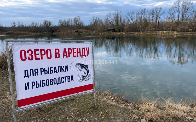 Возьму в аренду прочее, М. Туймебаев — фото 2