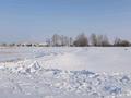 Участок · 12 га, Кокпекты за 110 млн ₸