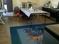 Отдельный дом · 2 комнаты · 50 м² · 10 сот., Алтынемел 95 — Алтынемел пересечение Кабанбай Батыра за 20 млн ₸ в Талдыкоргане, село Ынтымак — фото 4