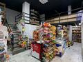 Магазины и бутики · 73.1 м² за 52 млн ₸ в Астане, Алматы р-н — фото 11