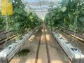 Промбаза · 4 га, Алматы Кулжат трасса 77 за 800 млн ₸ в Чундже — фото 68