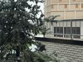 2-бөлмелі пәтер · 40 м² · 6/16 қабат, Утепова 31 — Басенова Розыбакиева, бағасы: 350 000 ₸ в Алматы, Бостандыкский р-н — фото 29