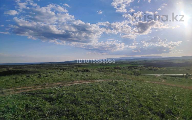 Участок · 450 га, Урджар за 45 млн ₸ — фото 2
