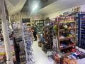 Свободное назначение, магазины и бутики · 130 м² за 65 млн ₸ в Кордае — фото 6