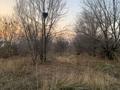 Жер телімі · 16 сотық, Ленино 100, бағасы: 14 млн ₸ в  — фото 4