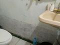 Еркін, кеңселер, кабинеттер және жұмыс орындары, студиялар · 45 м², бағасы: 110 000 ₸ в Семее — фото 8