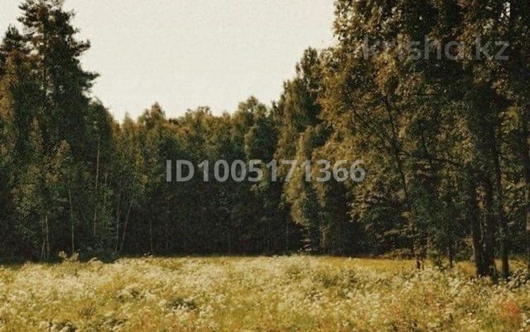 Жер телімі · 1.17 га, Ақкөл, бағасы: 45 млн ₸ в Акколе — фото 2