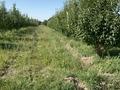 Участок · 300 соток, Карасай 2 — Карасай за 44 млн ₸ в Есик — фото 15