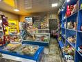 Магазины и бутики · 40 м² за 18 млн ₸ в Талдыкоргане, Каратал — фото 5