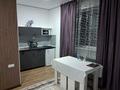 1-комнатная квартира · 28 м², Кокше 15 за 120 000 ₸ в Бурабае — фото 3
