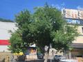 1-комнатная квартира · 40 м² · 7/9 этаж, мкр Алмагуль, Жарокова Байкадамова 275 за 230 000 ₸ в Алматы, Бостандыкский р-н — фото 10