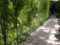 Жеке үй · 9 бөлме · 450 м² · 10 жүзд., Бокаева 2 — Шанхай, колос, бағасы: 50 млн ₸ в  — фото 20