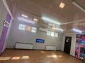 Студиялар · 47 м², бағасы: 350 000 ₸ в Алматы, Жетысуский р-н — фото 6