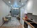 1-бөлмелі пәтер · 45 м², Д.Конаева 17 — Small, бағасы: 250 000 ₸