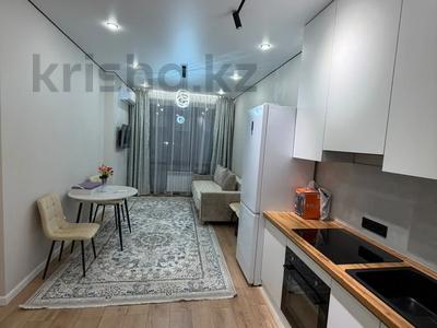 1-бөлмелі пәтер · 45 м², Д.Конаева 17 — Small, бағасы: 250 000 ₸