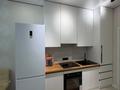 1-бөлмелі пәтер · 45 м², Д.Конаева 17 — Small, бағасы: 250 000 ₸ — фото 4
