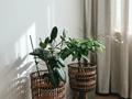 2-комнатная квартира · 63 м² · 1/9 этаж, мкр Зердели — ул. Момышулы уг. ул. Монке би за 34 млн ₸ в Алматы, Алатауский р-н — фото 10