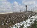 Участок · 0.3 га, Карасай за ~ 9.4 млн ₸ в Алматинской обл. — фото 4
