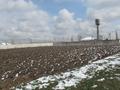 Участок · 0.3 га, Карасай за ~ 9.4 млн ₸ в Алматинской обл. — фото 7