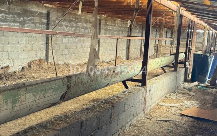 Участок · 8 соток, ул текес — Карибаева за 17 млн ₸ в Каргалы (п. Фабричный) — фото 2
