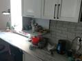 Часть дома · 4 комнаты · 90 м² · 40 сот., Береговая 25 за 27 млн ₸ в Самсоновке — фото 26